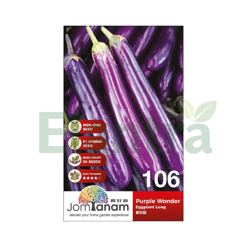 106 EGGPLANT LONG